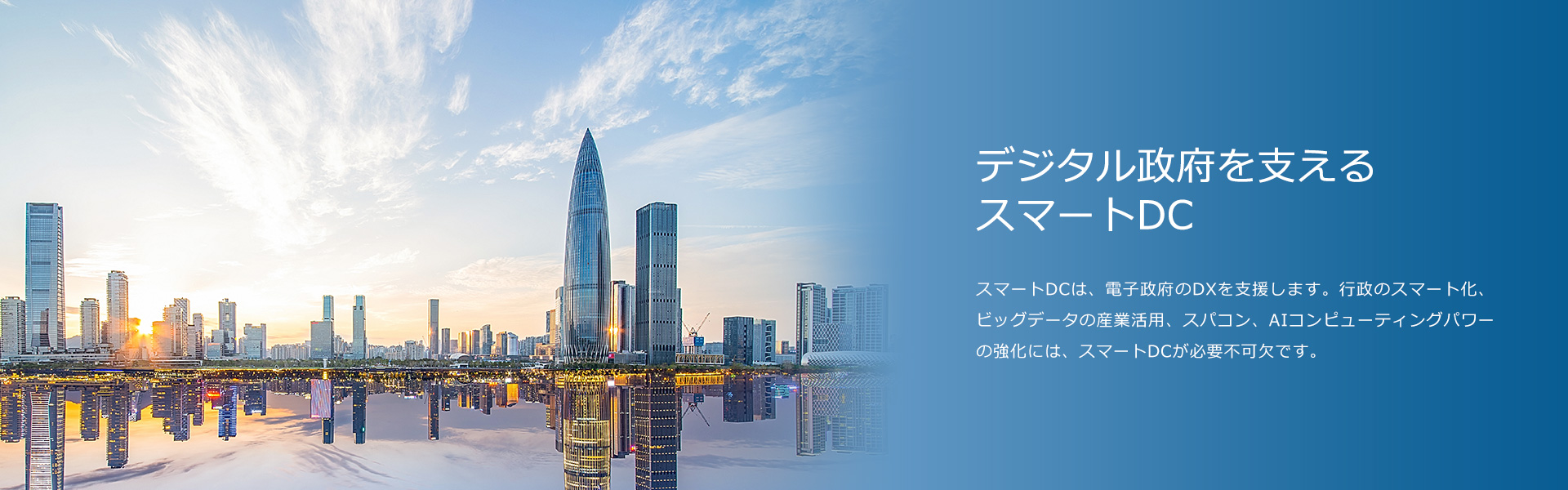政府