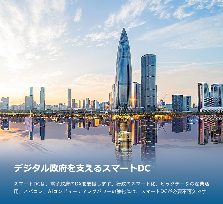 政府