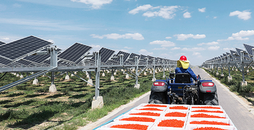 宝豊グループ　640MWac 太陽光発電所