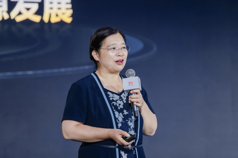 原国网能源研究院新能源与统计研究所所长李琼慧