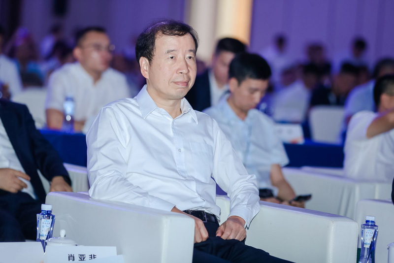 广东省人大常委会副主任、东莞市委书记肖亚非