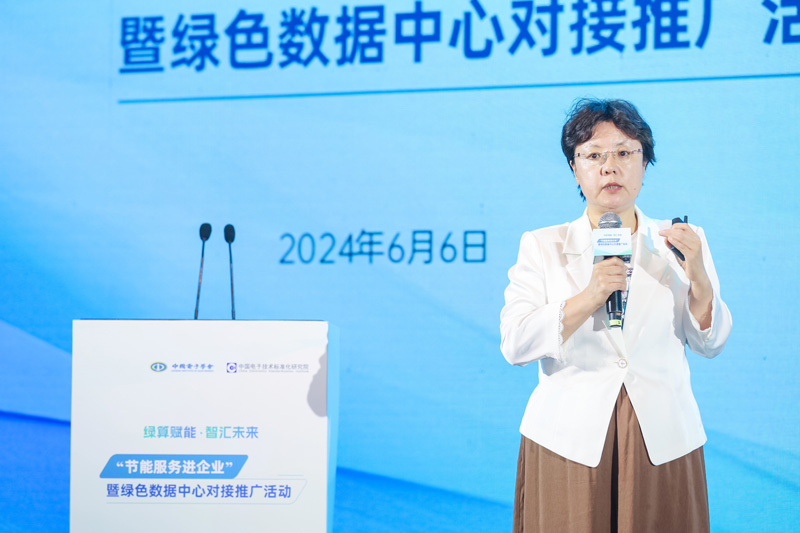 华为数字能源数据中心领域首席架构师安真
