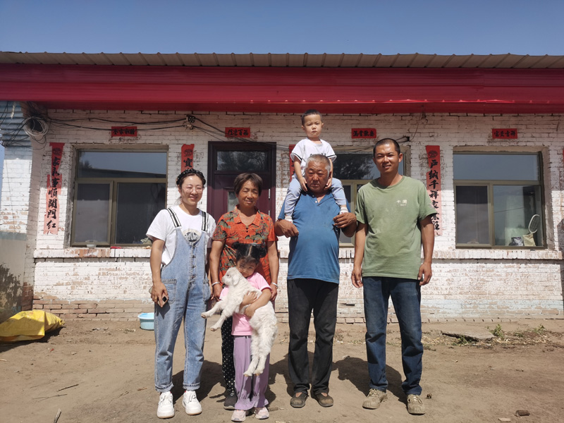 Solar Panels Revitalize the Flora and Life in the Kubuqi Desert