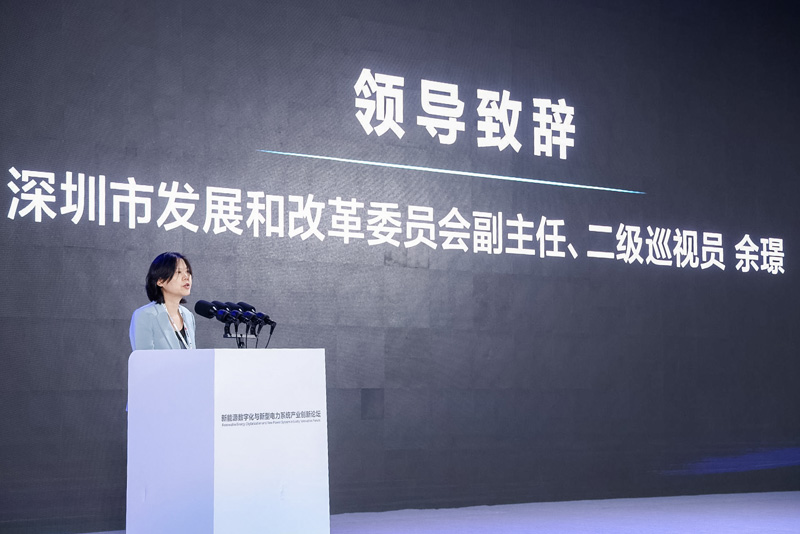 深圳市发展和改革委员会副主任、二级巡视员余璟