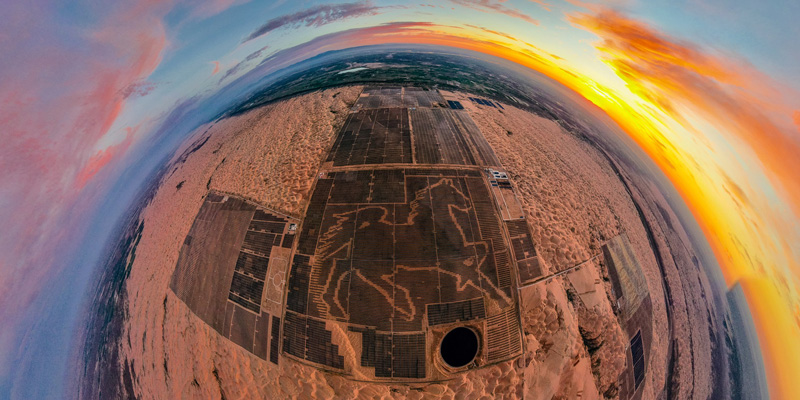 Solar Panels Revitalize the Flora and Life in the Kubuqi Desert