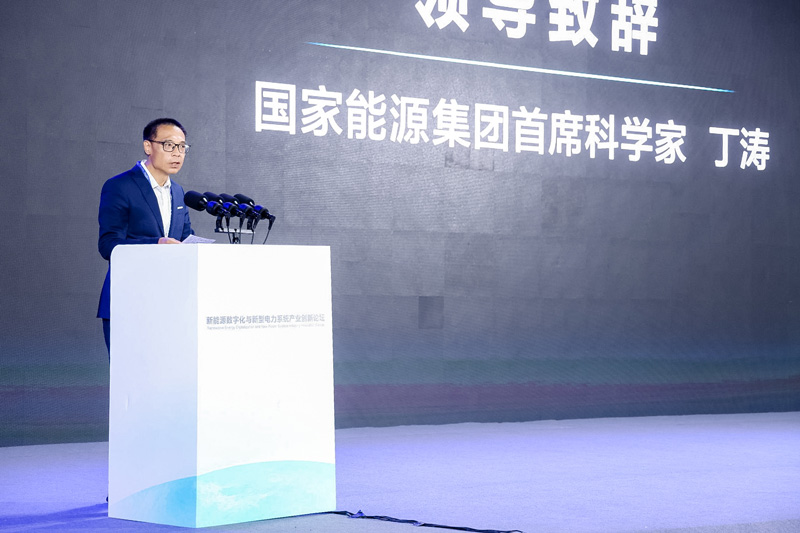 国家能源集团首席科学家丁涛