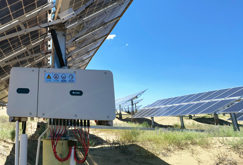 Solar Panels Revitalize the Flora and Life in the Kubuqi Desert
