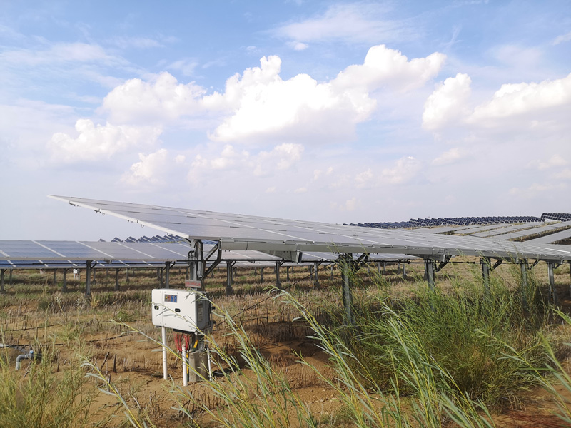 Solar Panels Revitalize the Flora and Life in the Kubuqi Desert