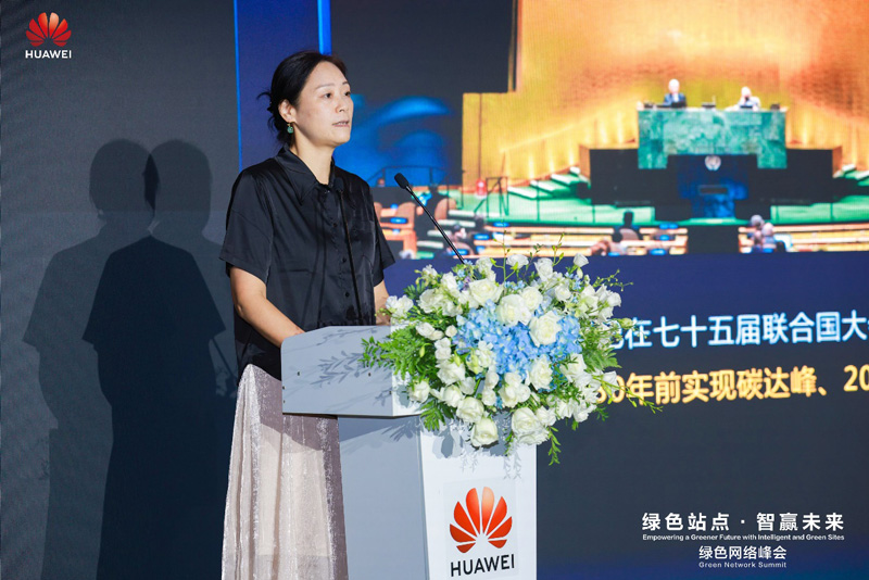 深圳虚拟电厂管理中心总经理程韧俐